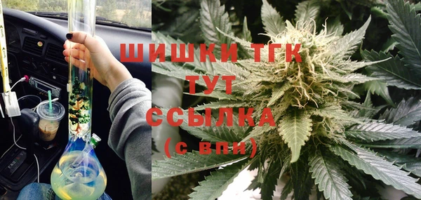 гашик Абаза