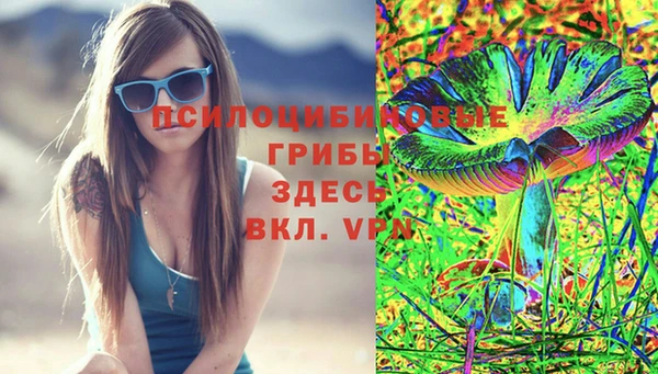 гашик Абаза