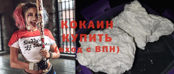 спайс Алексин