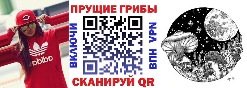 Галлюциногенные грибы GOLDEN TEACHER  где купить   Горячеводский 